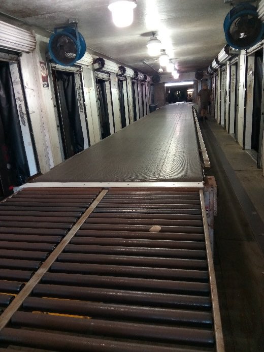 Ashley Greene tweet media