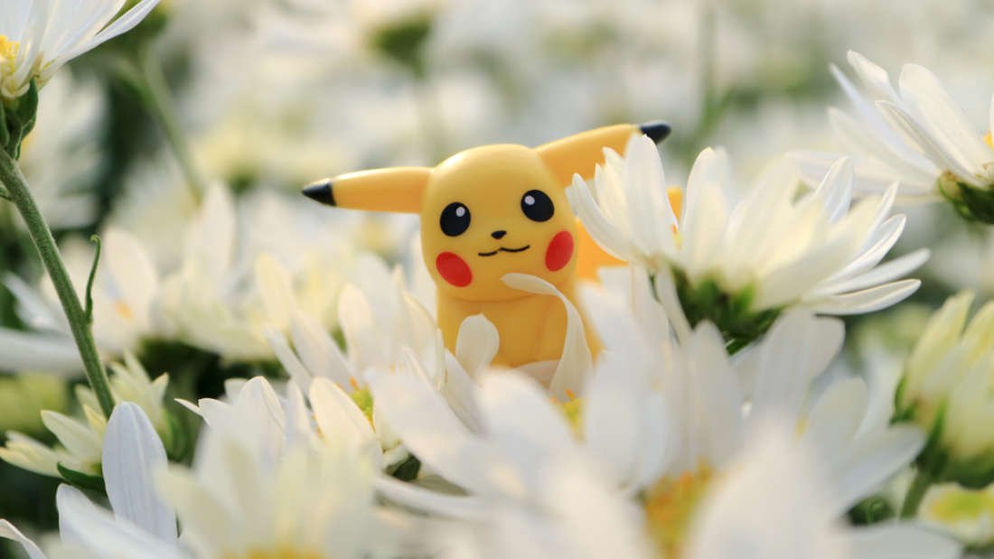Pikachu Exists And Is Living In Australia
iflscience.com/plants-and-ani…