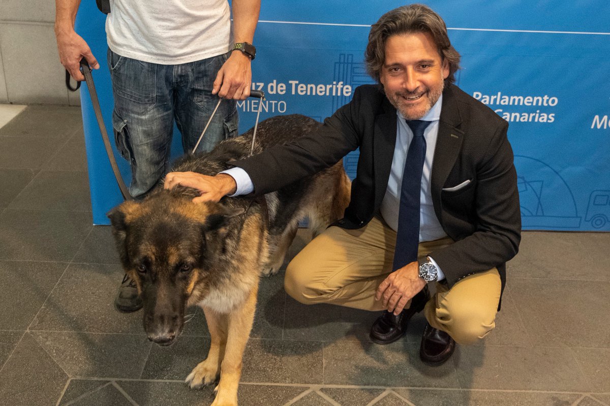 Parlamento Canarias tweet media