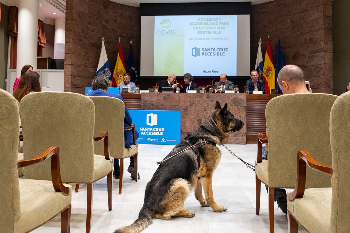 Parlamento Canarias tweet media