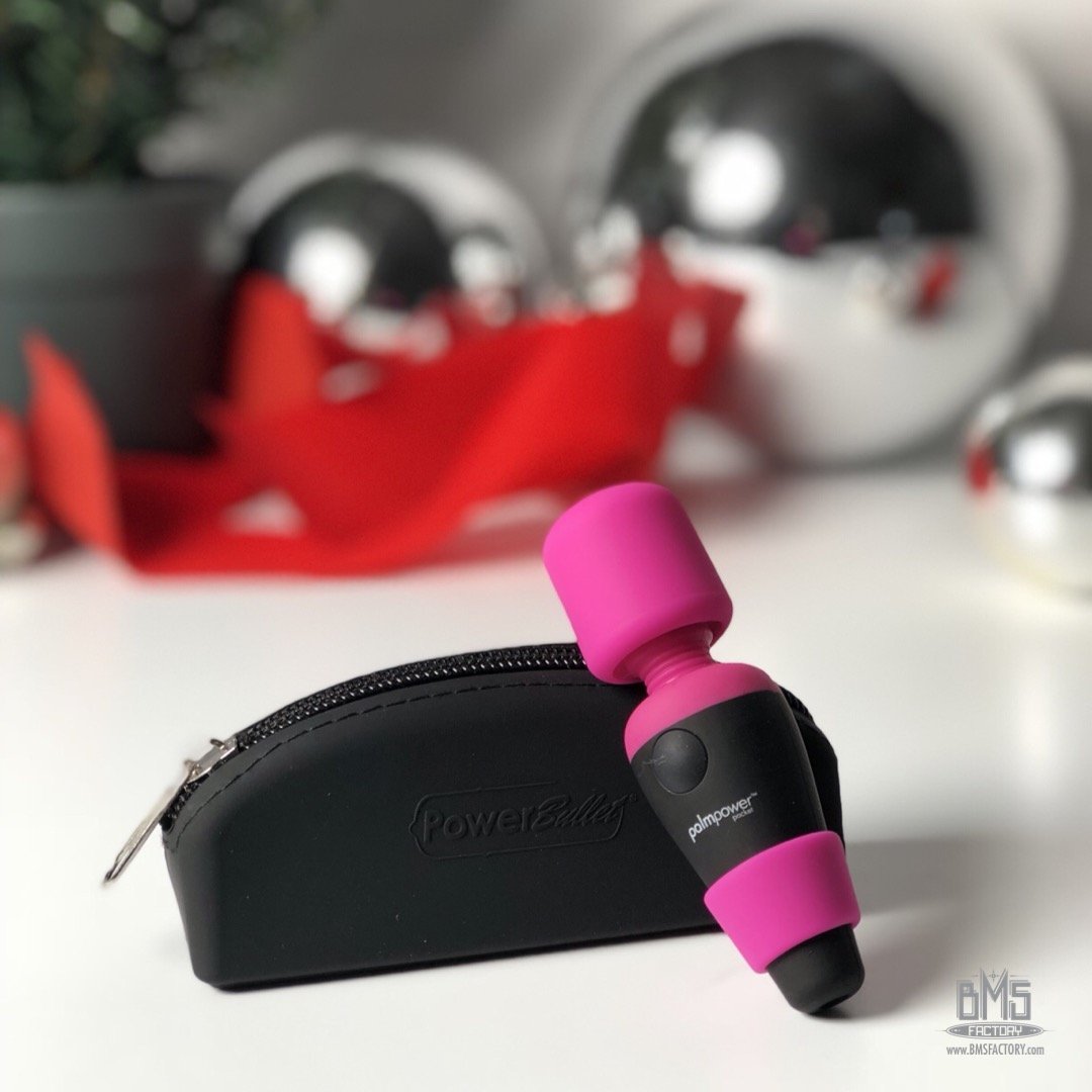BMS_Factory's tweet photo. The perfect stocking stuffer!! This little cutie may be petite but it is oh so powerful. Give the gift they really want this holiday, with the Palmpower Pocket. #BMSFactory https://t.co/6Wv04bonua
