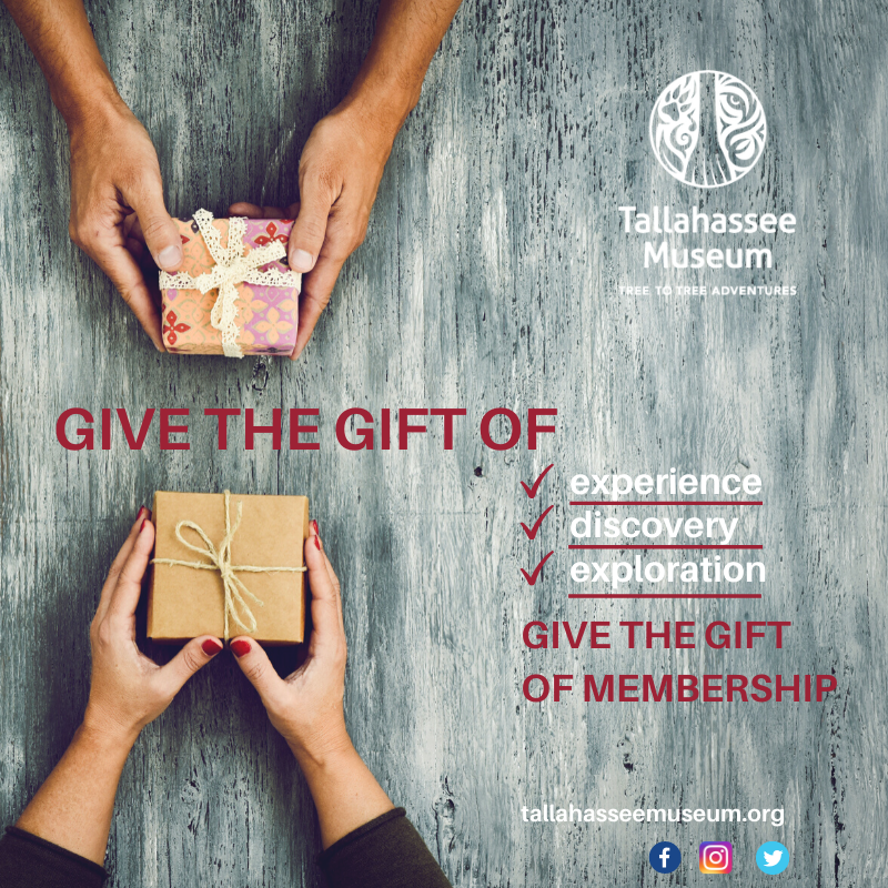 A Tallahassee Museum membership means wonderful benefits and support for one of the state’s finest museums!

Click Here for more information on our Memberships: bit.ly/MembershipTM

Give the gift of Membership this holiday season! 
👪 🎄👪 🎄