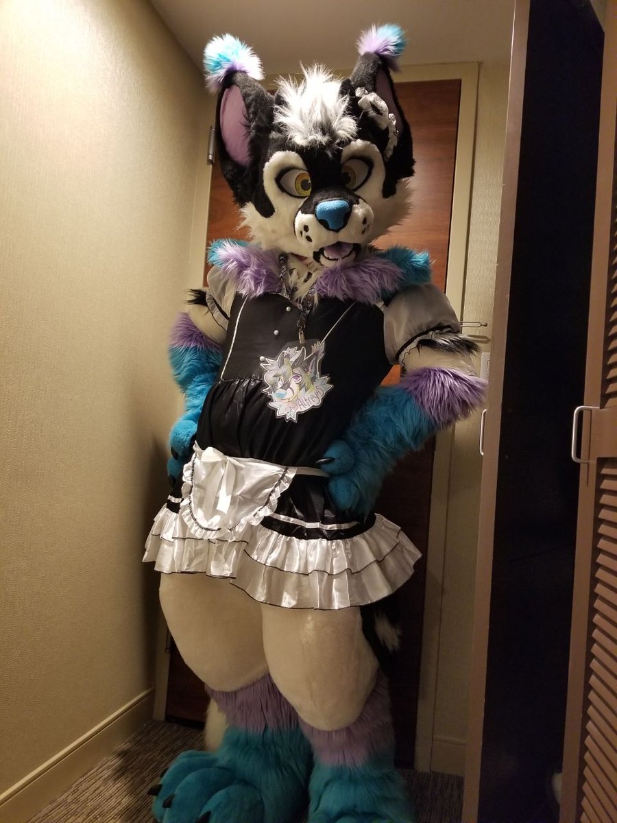 Altreyas's tweet image. Housekeeping! *Knocks on door and enters without any regard who's in there.* (Not like they would be complaining to begin with.)

#FursuitFriday 
📸 @SmellyStrobes