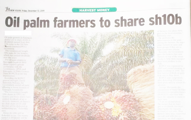 MAAIF_Uganda's tweet photo. The successful 4P model of the Ministry of Agriculture Animal Industry and Fisheries that has earned organised farmers in Kalangala District 10 billion shillings in dividends and enabled them to diversify is in the @newvisionwire today. #UGAgriculture https://t.co/etUZCAFIiV