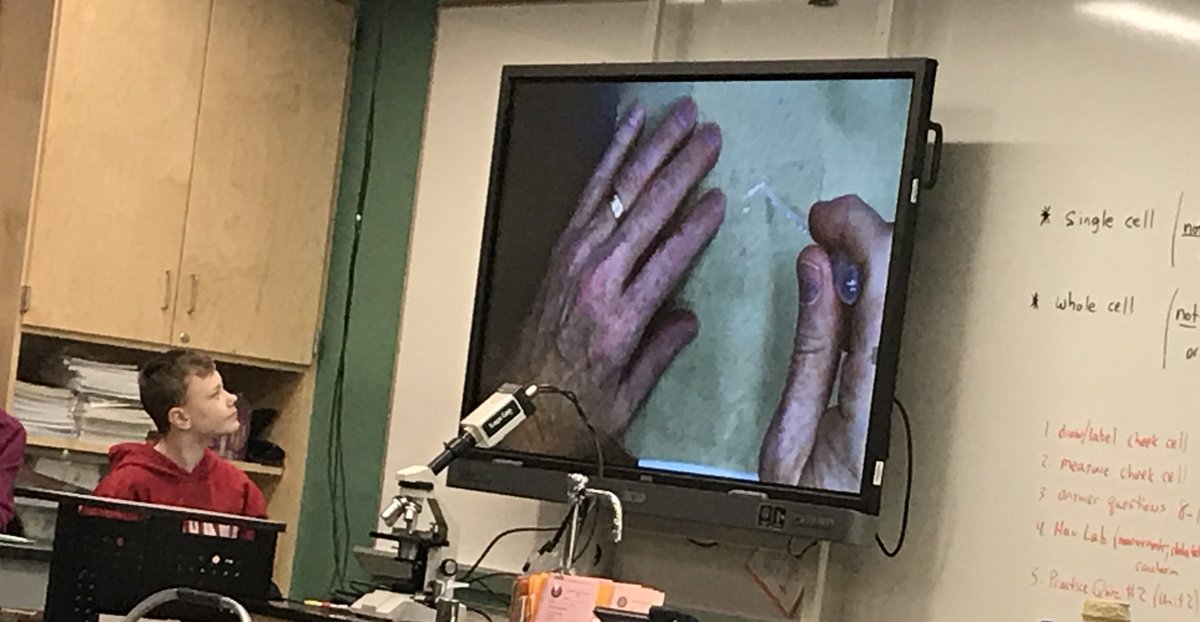 fitzG's tweet image. @Bendist25 Mr. Bradbury demonstrates the cell lab with the help of our new science lab technology before the 8th grade students perform the lab #techasatool #goodteaching