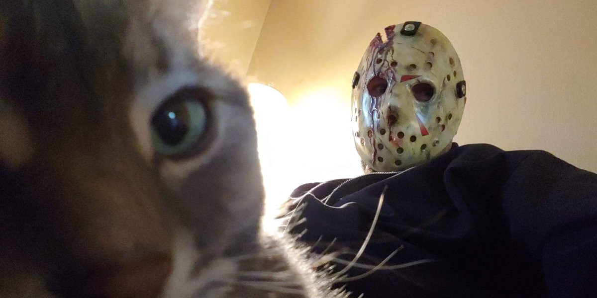 Once this cat gets off my lap, I'm getting my Friday the 13th on!