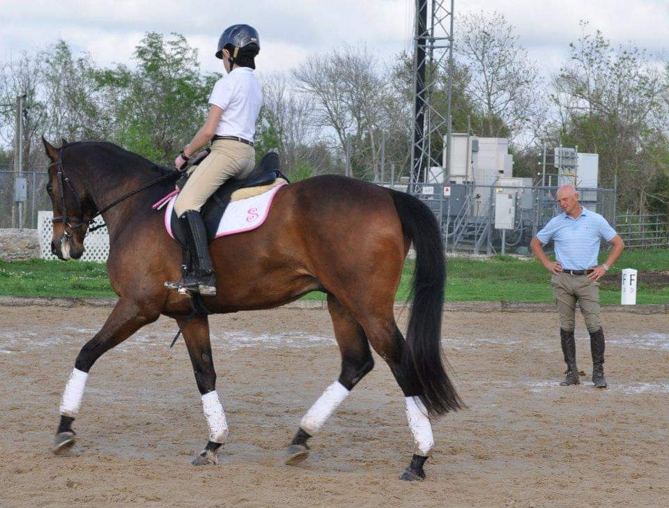 A throwback (many years ago) to recognize national horse day.  Clinic/lesson with UK gold medalist Leslie Law. #horse #NationalDayoftheHorse #dressage #ridinglesson #throwback