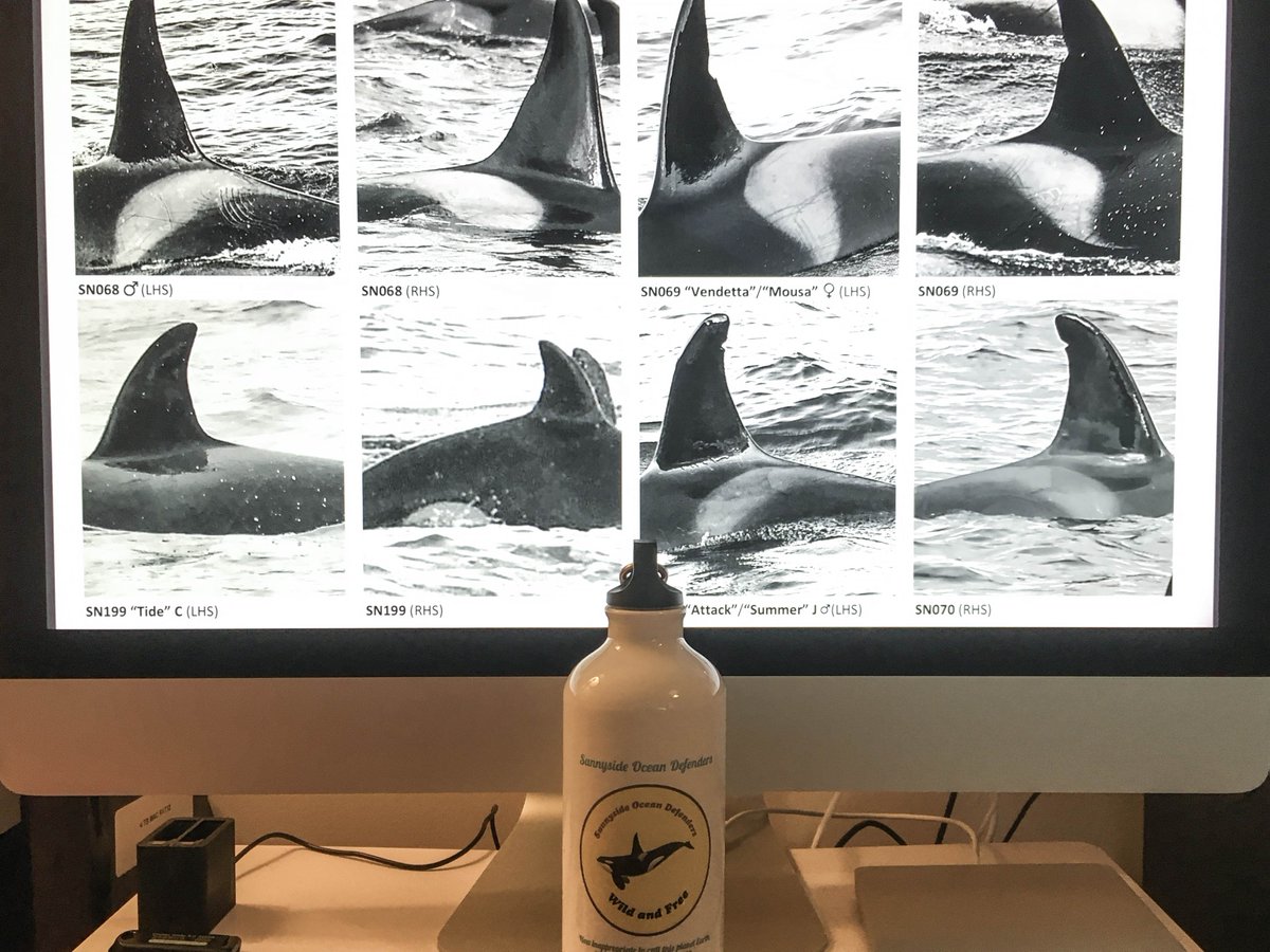 HughHarrop's tweet photo. Lovely to return to the office here in #Shetland this afternoon and find a parcel of wonderful gifts and a beautiful card from the brilliant Ocean Defenders crew @SunnysidePri. Thanks guys, you've made my day! #GetYourGroveOn #naestrawataw https://t.co/x831K3TwE8