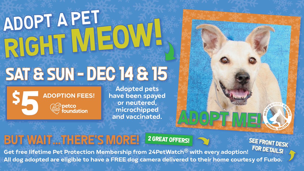 Every shelter pet has just one wish for #Christmas: a home! So give a shelter pet the gift of a new family this holiday season. Adopt a pet for $5 this weekend, December 14-15. #adoptapet #montgomerycountytx #thewoodlandstx #houstontx #magnoliatx #montgomerytx