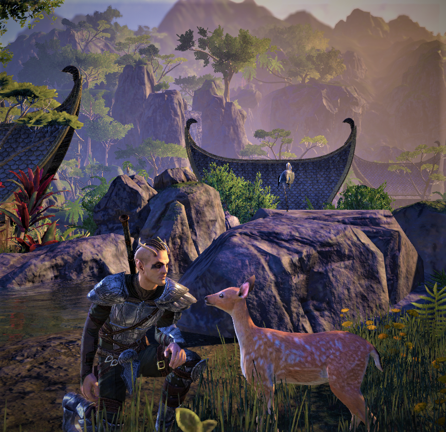 kashquests's tweet photo. Made a new friend today in Southern Elsweyr. She just kept following after I thwarted a pack of lions from making her a lunch snack. So, I guess Ghost the Loreseeker has a new traveling companion. She is truly beautiful. #ElderScrollsOnline @TESOnline #LoreseekersGuild https://t.co/3jFPFGUqxq