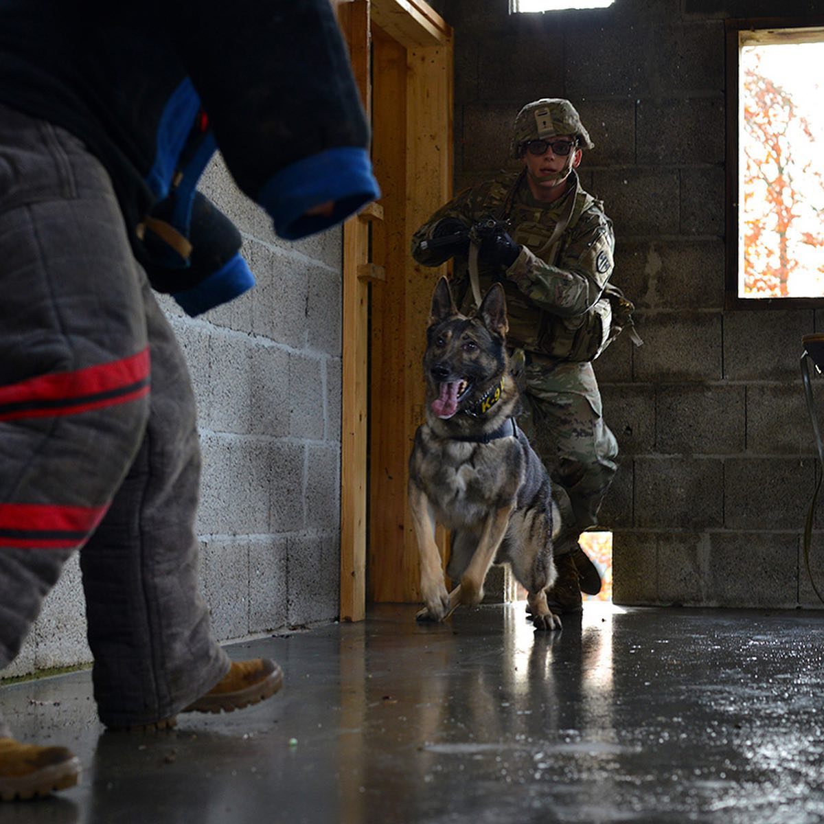 MWD_Mag's tweet image. Repost @100THMPDETMWD
Soldiers of the 100th Conduct a joint #buildingsearch with their #MWD for a hidden target #letthebigdogseat @ Stuttgart, Germany