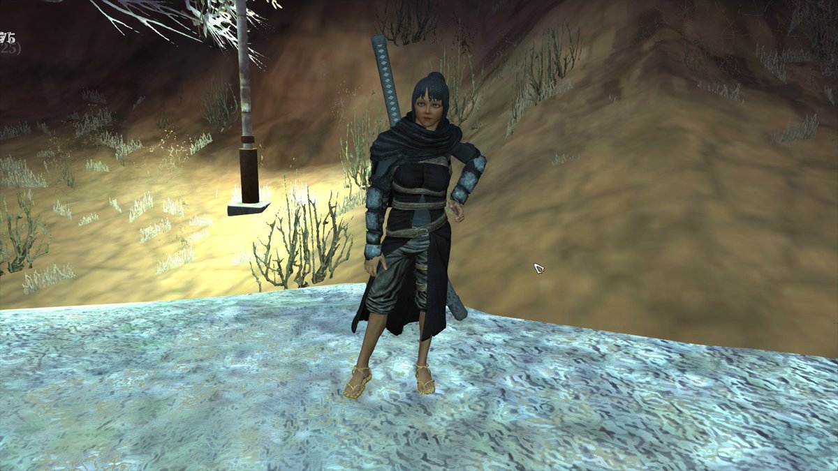 plate jacket kenshi Andrea Mills