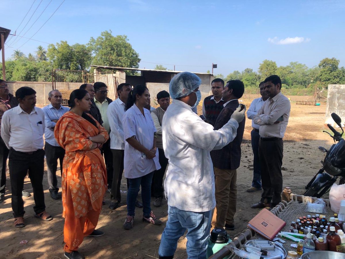 CollectorAhd's tweet photo. Visited animal health camps today during field visit in Sanand taluka. Was satisfied that animals are being taken care by the team. #sensitivegovernment @CMOGuj @pkumarias @DDOAHMEDABAD1 https://t.co/6VB33fQc8q
