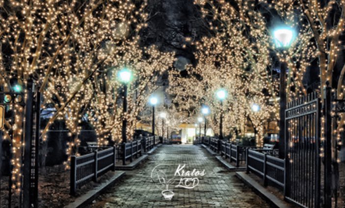 KratosLed's tweet photo. Is it too early for Christmas Lights? You’re wrong if you think it is! We all buy at least one new pair of Christimas lights a year, do the right thing and make them LED ones! #Friday #TGIF #Kratos #Lights #LED #KratosLED #Christmas #Christmaslights #Photos #Nature #Holidays https://t.co/6iEZEbSbM8
