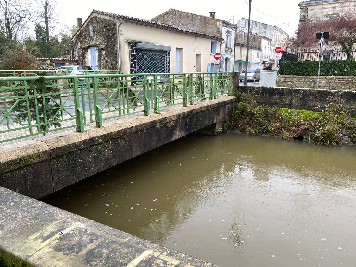 Le niveau de La Seudre est haut en ce moment alors que les marées sont basses. La vigilance jaune pour les crues est toujours en cours en #CharenteMaritime. Photos de <a href="/Cecottaz/">Cédric Cottaz</a>
