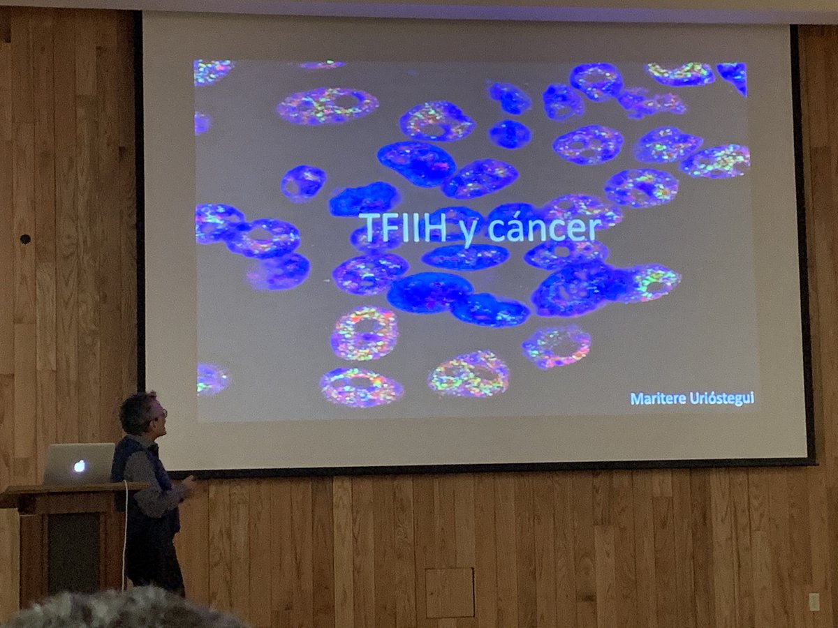 Nice talk by Dr. Mario Zurita <a href="/Zurita_Lab/">Zurita Lab</a> at Semana Academica <a href="/ibt_unam/">Instituto de Biotecnología UNAM</a> 😁🤓👀