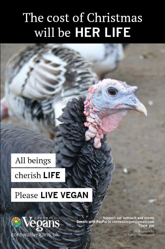 action4animls's tweet photo. @itvnews @Animal_Watch https://t.co/YesD2EmqbB