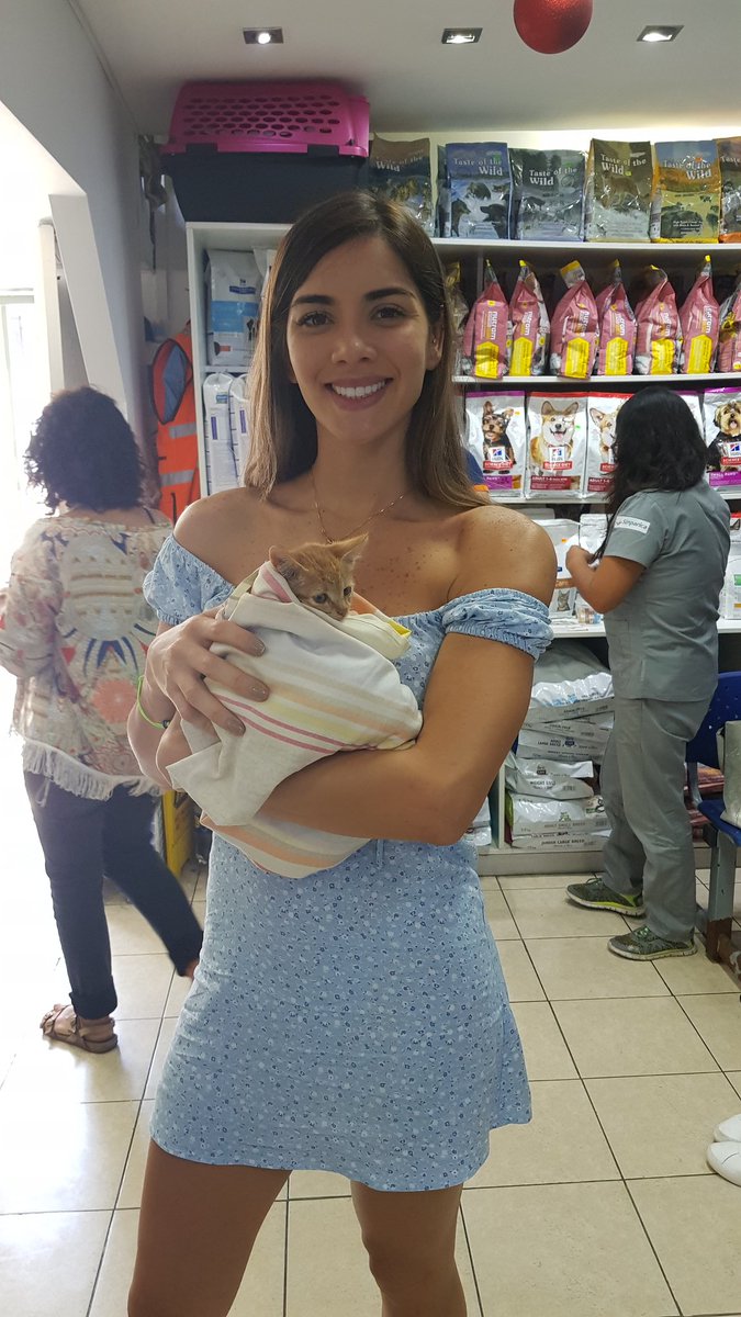 ¡Buenos días!
En esta ocasión nos visita <a href="/Korina_R/">Korina Rivadeneira</a> 
Trayendo un gatito que encontró tirado en algún  lugar de Lima.
Ha venido a tratarlo, curarlo en la vet de #Barranco. 

¡Gracias por tanto!