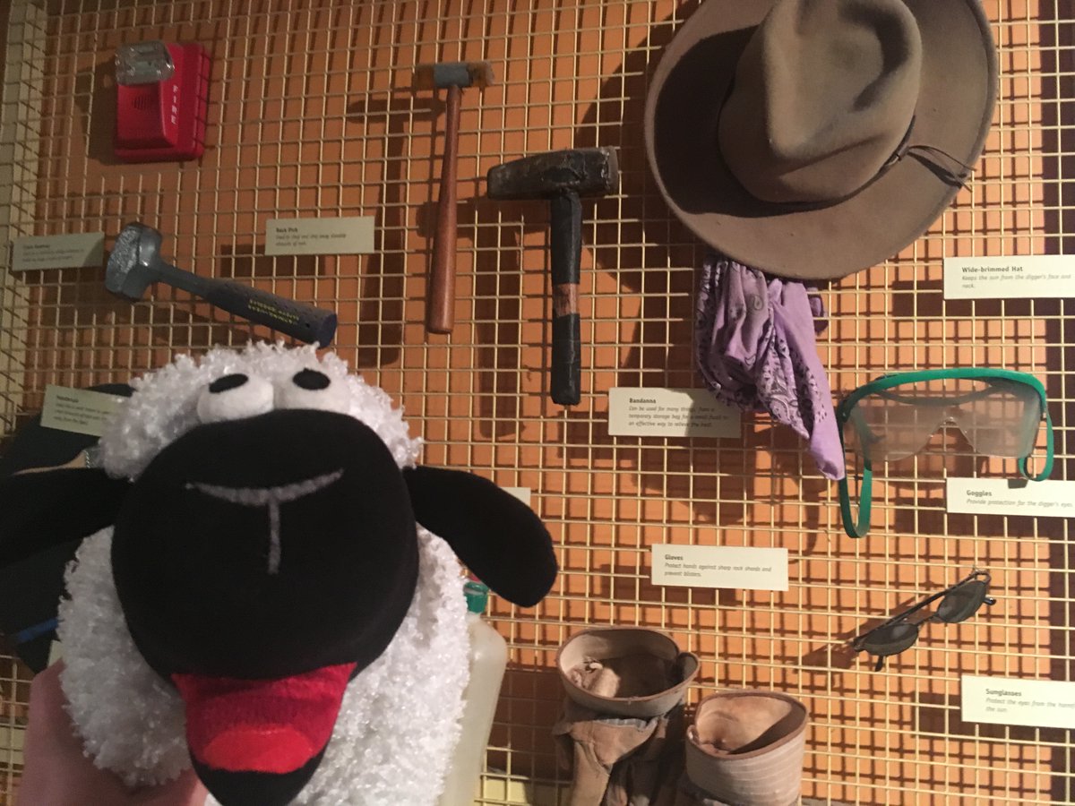 woolly_wilson's tweet photo. It's #ThrowbackThursday time! When I went to #Philly, I got to visit the @Acadnatsci and have some fun with science! I also may have gotten into trouble... #museums #museumsigns #sheepnanigans #museummascot #TBT https://t.co/rCxq2Ti12B
