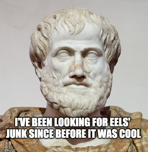 This led to the long-held belief that eels reproduced asexually. Aristotle thought they sprang from the mud, writing that eels had neither sperm (milt) nor eggs. Pliny thought that they grew out of flakes of dead skin other eels had rubbed off on rocks. /3