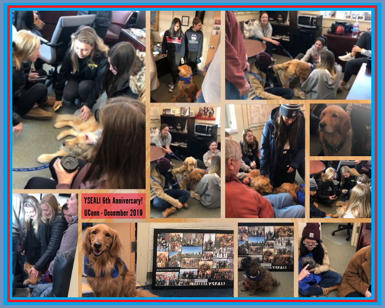 UConnGTDI's tweet photo. December 8, 2019:  In celebration of YSEALI's 6th anniversary and annual #YOUnified (Youth + Unified) community service campaign, we hosted a pet therapy event for the UConn community to help students de-stress before final exams! @yseali https://t.co/Iijzdb8s4x