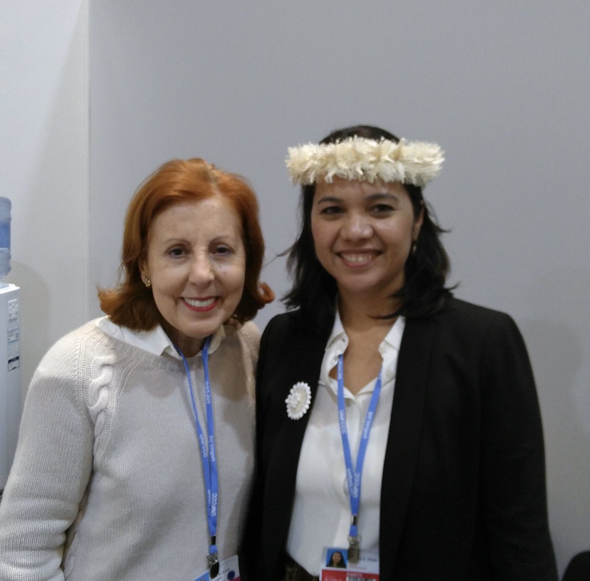 Maria Graça Carvalho tweet media