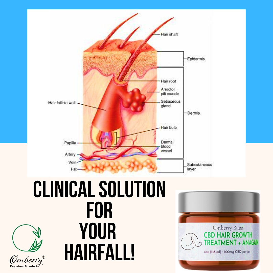 OmberryCBD's tweet photo. GROWTH TREATMENT + ARGAN will help you to grow your hair and reduce hair fall. Omberry Bliss - CBD regrowth Hair Mask is $99.99! Free shipping through December 20% off with the code SLM. https://t.co/1G15aR2TwS

#OmberryCBD #Omberry #CBD #Health #Organic #Kosher #Holistic #Hemp https://t.co/PkwDa2dpew