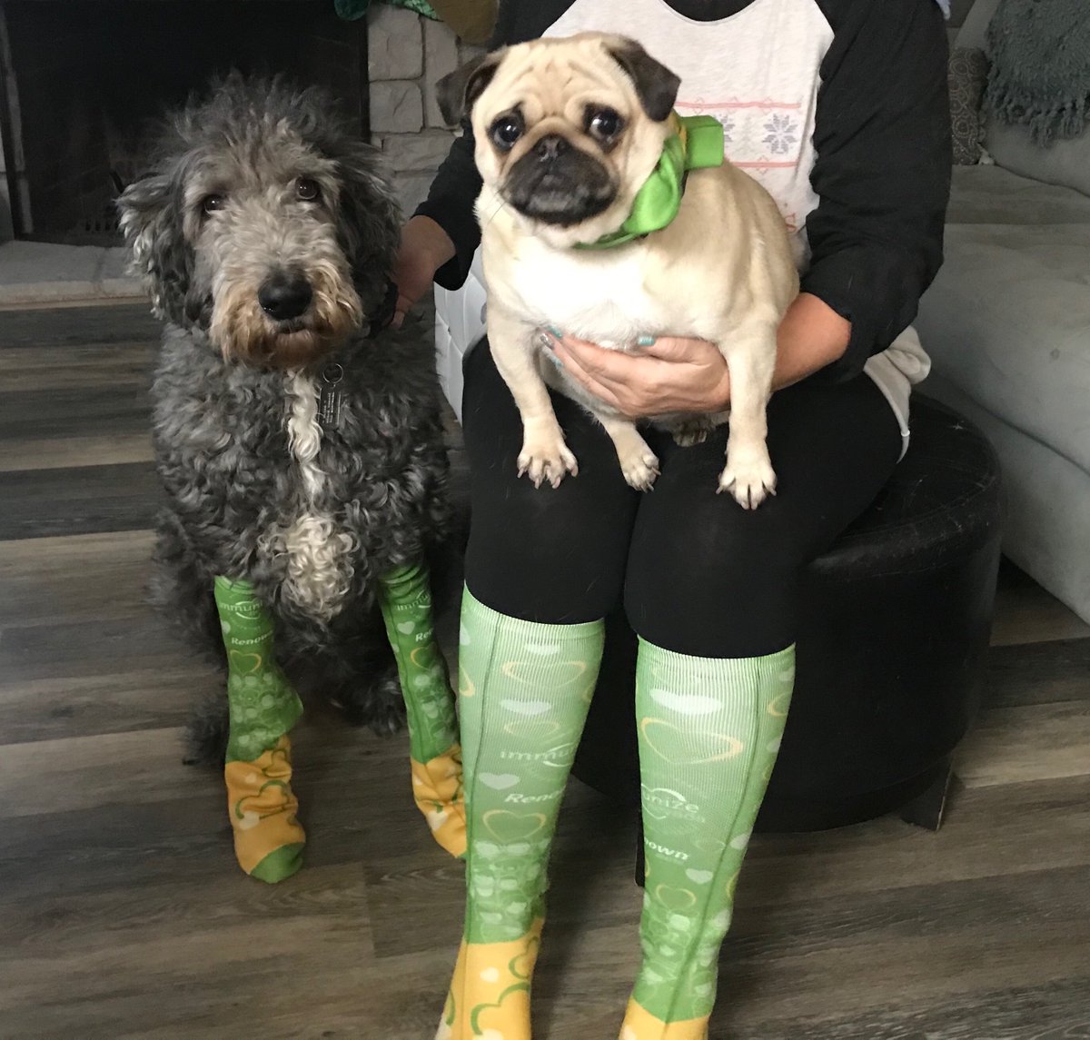 ImmunizeNV's tweet photo. Um. If this dog wearing socks doesn't inspire you to be an advocate for immunizations, we don't know what will. #BigSocksforBigShots #ivax2protect #injectcommonsense https://t.co/GgYHT1RWn1
