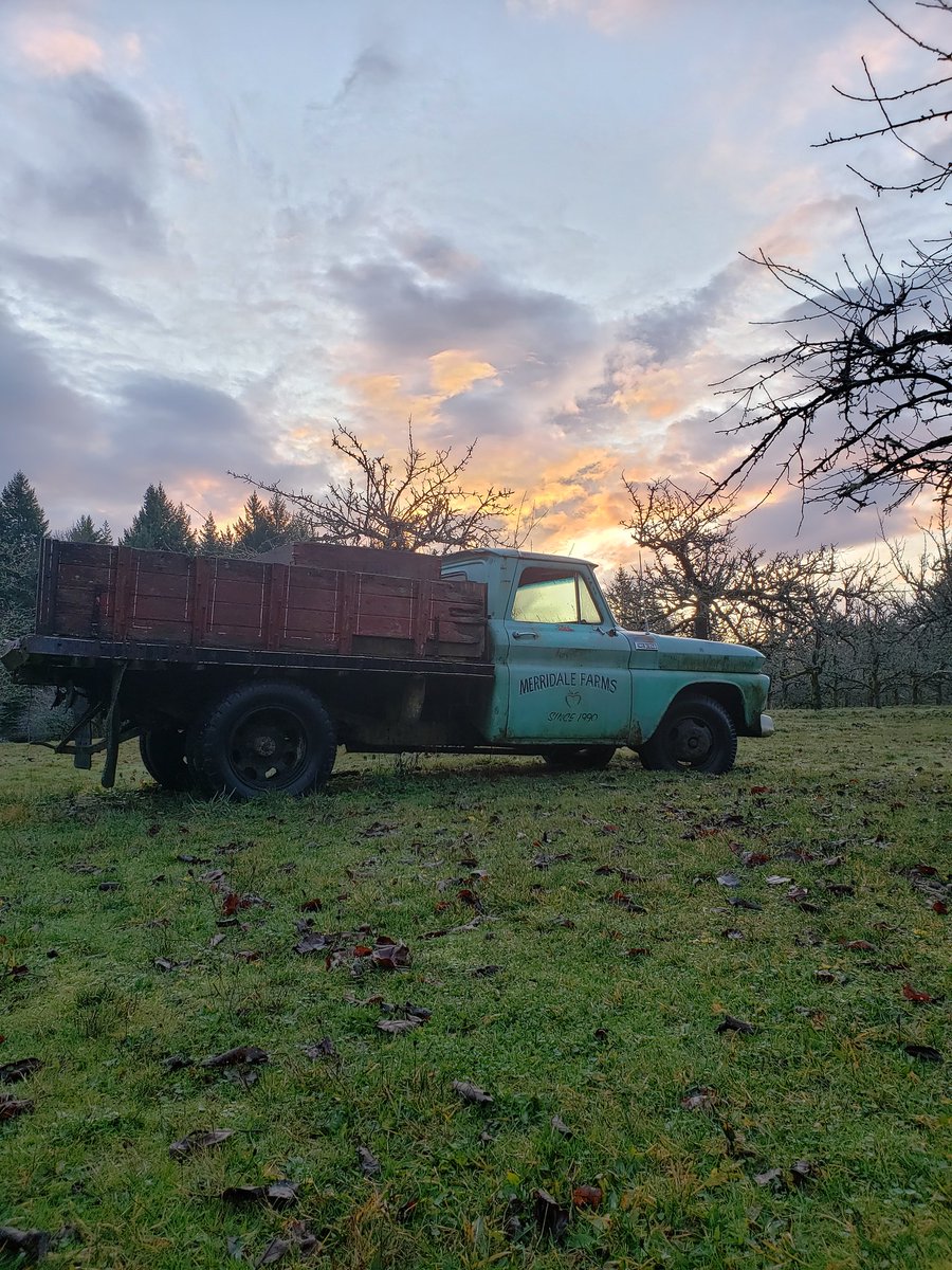 There's nothing like a clear morning after a few days of heavy rain. Am I right? #craftcider #explorecowichan #explorebc