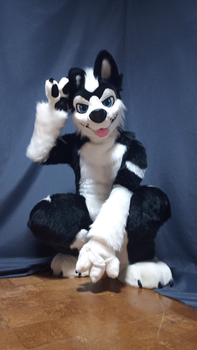 本日ジーさん(<a href="/GTHY_shooter/">Ziisan ジーさん</a> )よりお迎えしました 星(セイ)です！ 
着ぐるみ初心者なので至らぬ点があるかもしれませんが、イベント等でお会いすることがあれば可愛がってあげてください！