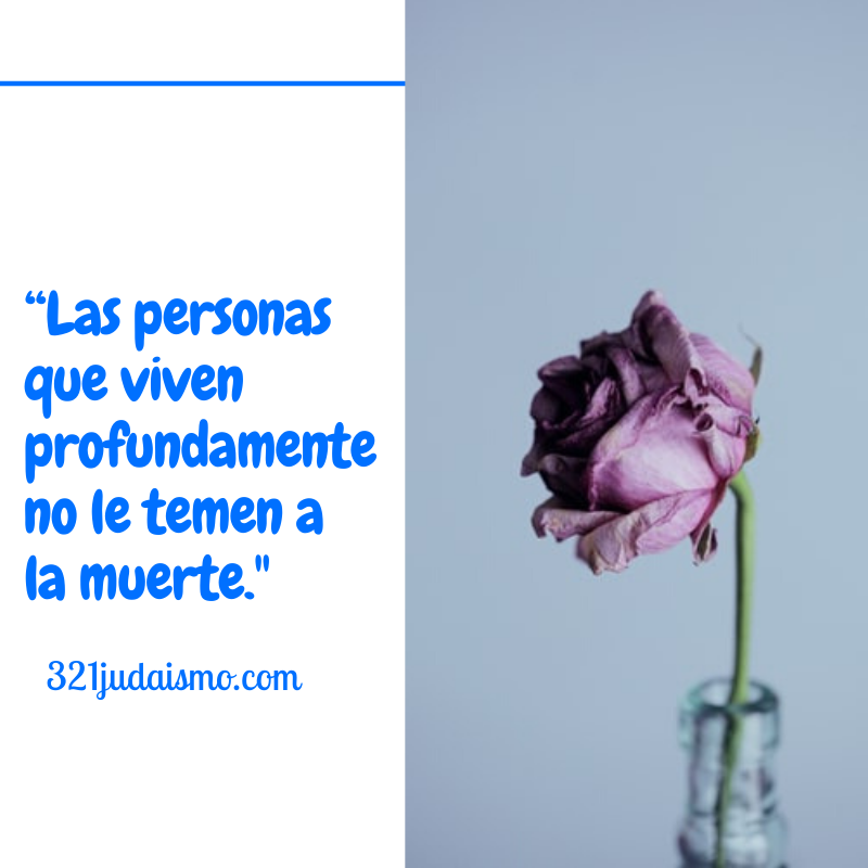 321Judaismo's tweet photo. Conceptos sobre la muerte 2 #Muerte #Vida #Defuncion #Fallecimiento #Deceso #Termino #Fin #Final #Existencia #Supervivencia #Energia #Voluntad #Temor #Miedo #Pavor #Panico #Terror #Desconfiamza #Cobardia #321judaismo #Recelo https://t.co/32IJA7ZQnw