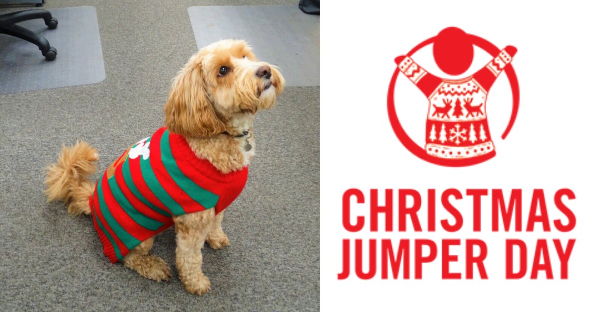 🎄*CHRISTMAS JUMPER DAY*🎄
Today we donned our finest festive jumpers, to raise money for our chosen charity of the year - The Oliver Curd Trust.

Teams from across the business got involved, including Willow with her own Christmas jumper. 
#ChristmasJumperDay #BuisnessTravel