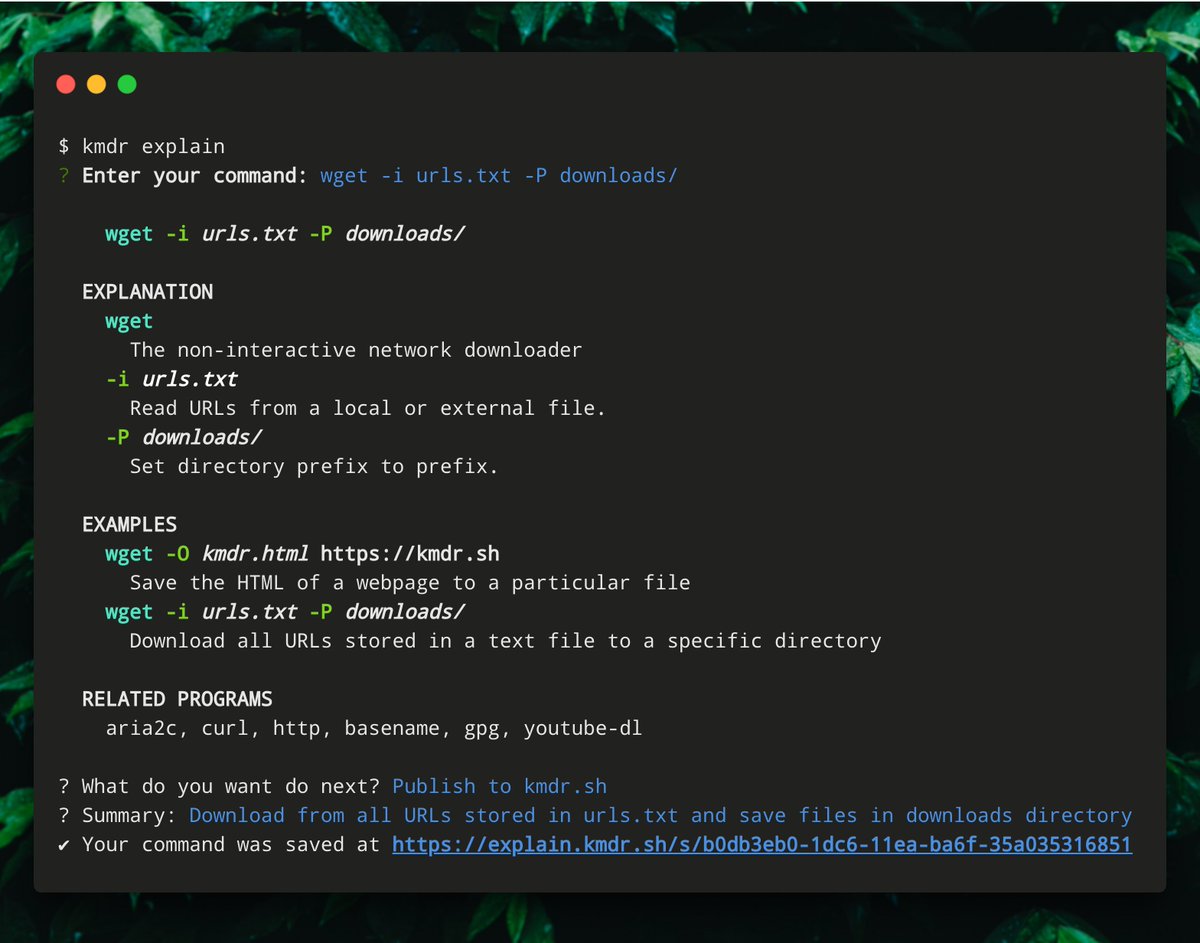 explain_dev's tweet photo. #WIP Sharing is caring and we are well on our way to sharable command explanations! Be the first to access by signing up to our newsletter: https://t.co/ORoS3QpCaN
#cli #kmdr #wget #network https://t.co/sq2UHBqXq1
