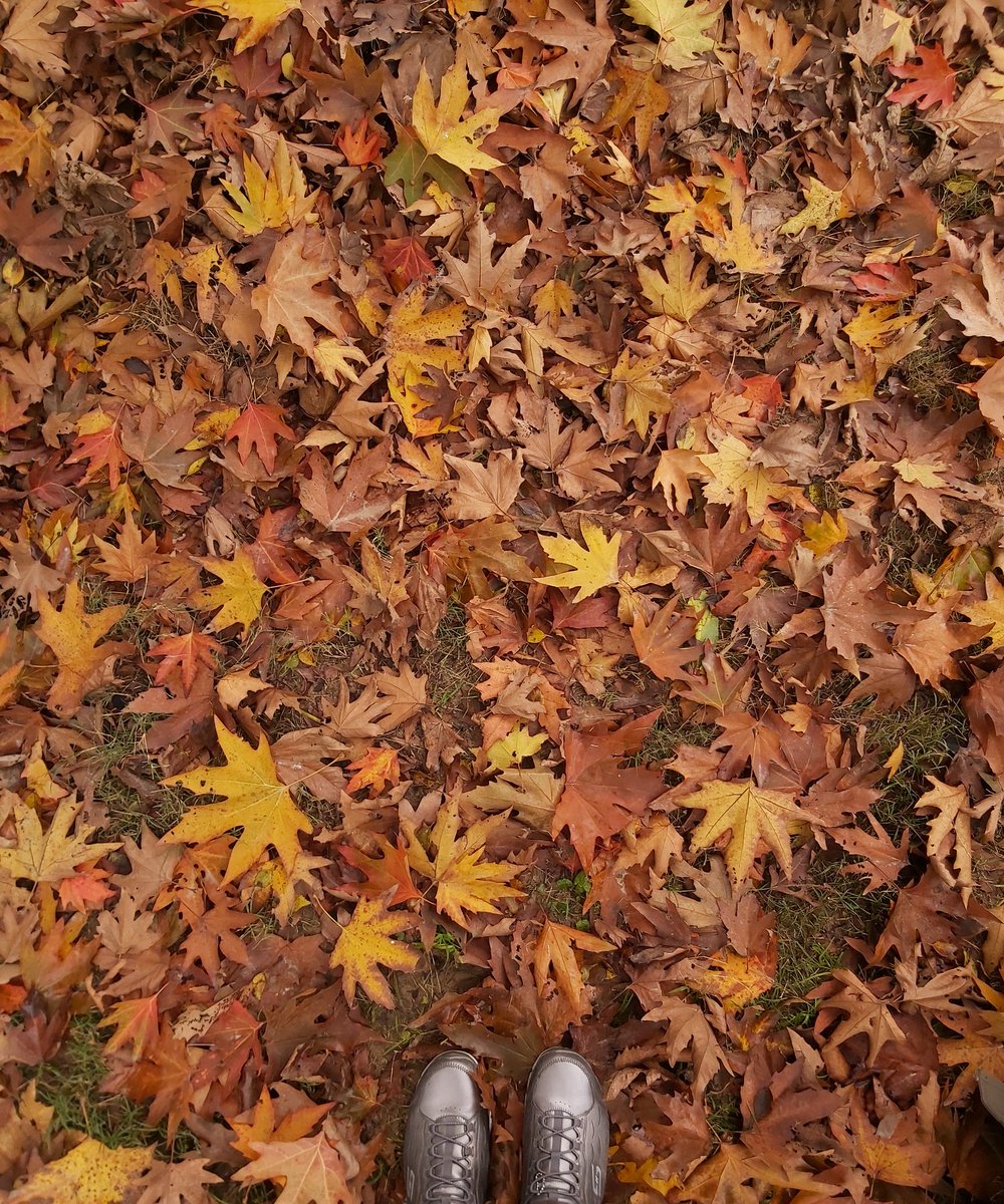 ᛓᛆᛚᛁᛌᛐᛁᚿᛁ 🍉 tweet media