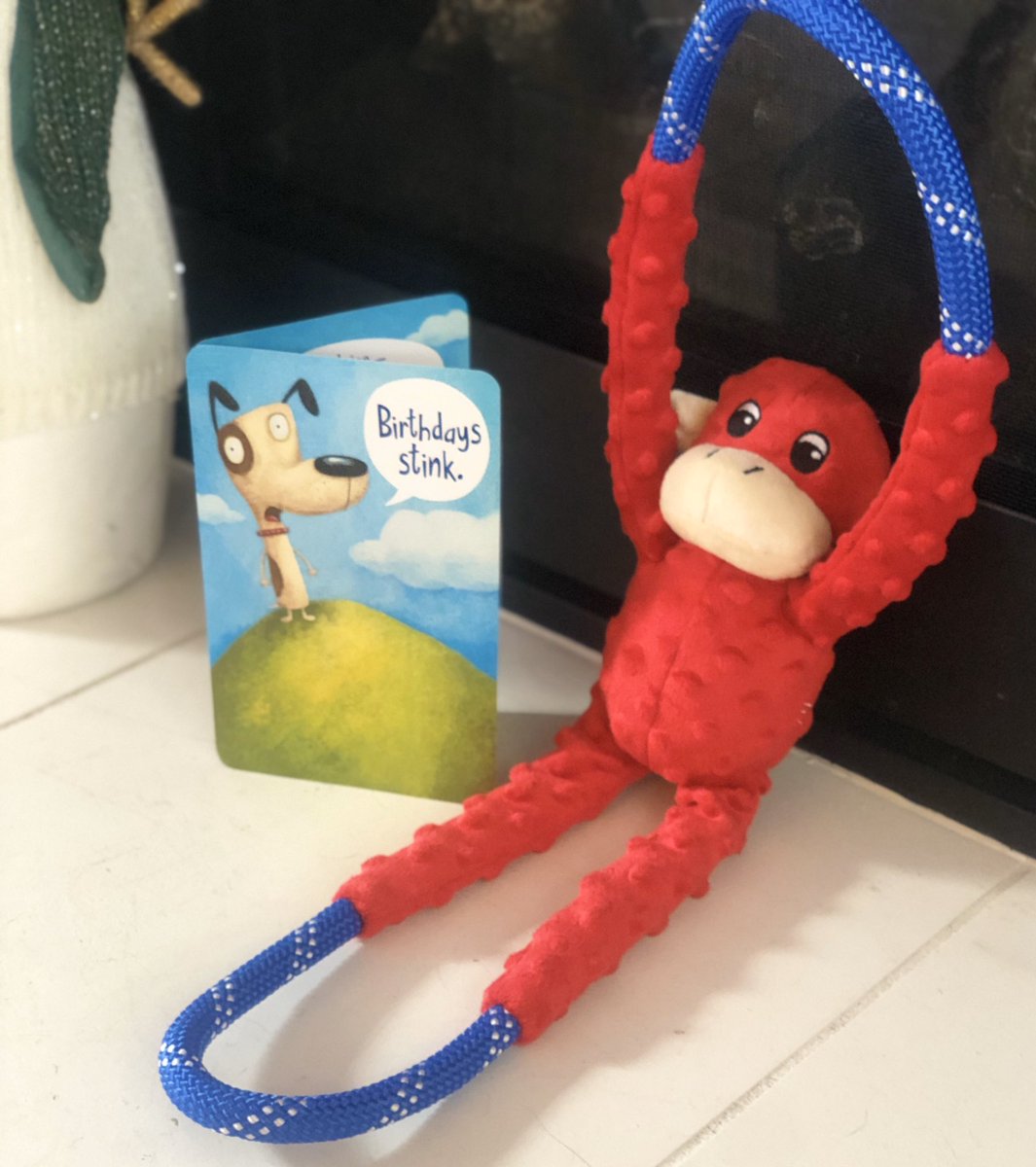 Penny Muscutt 🐕🐊 tweet media