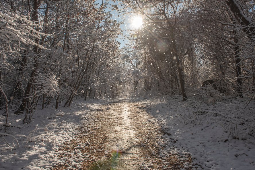 Roger Porter Photography tweet media