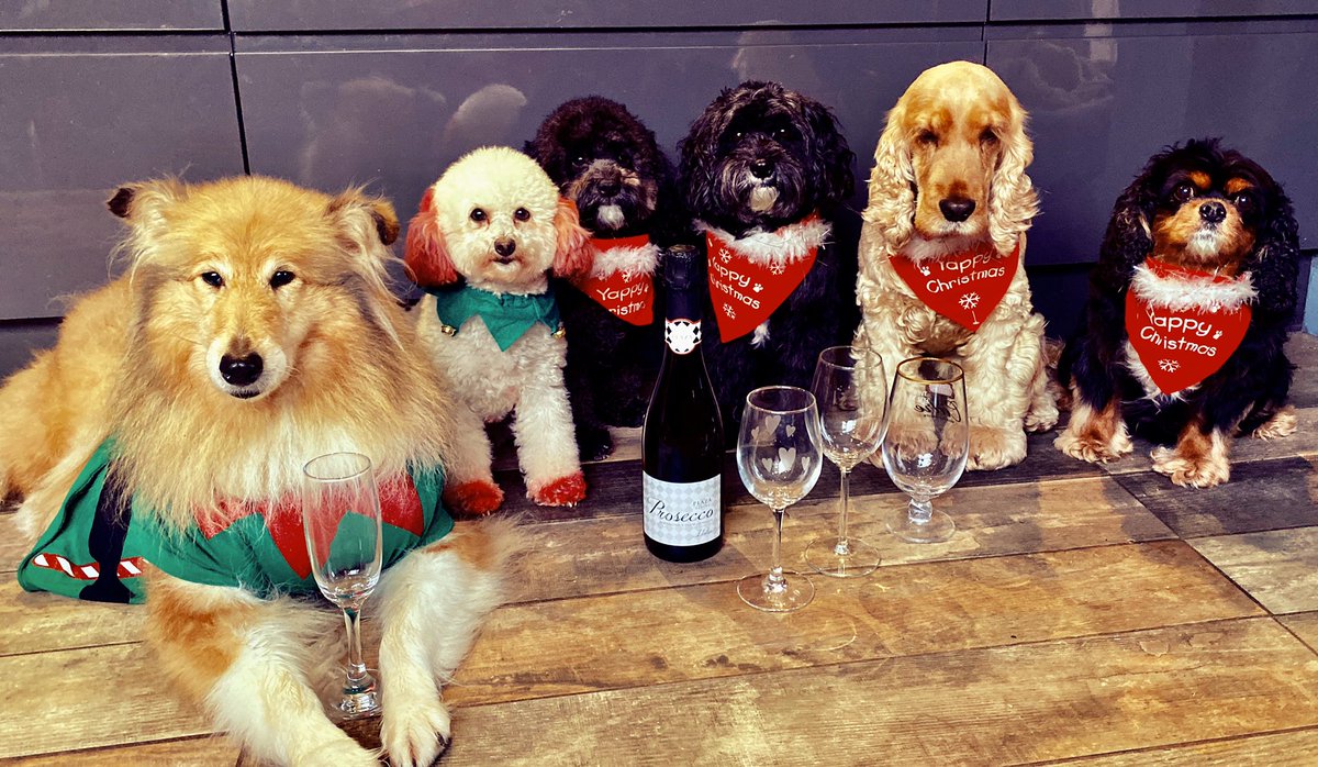 Time for the Christmas paaaaarrrttteeeyyy!!! 🍾🍸🍾🍸👏🎉