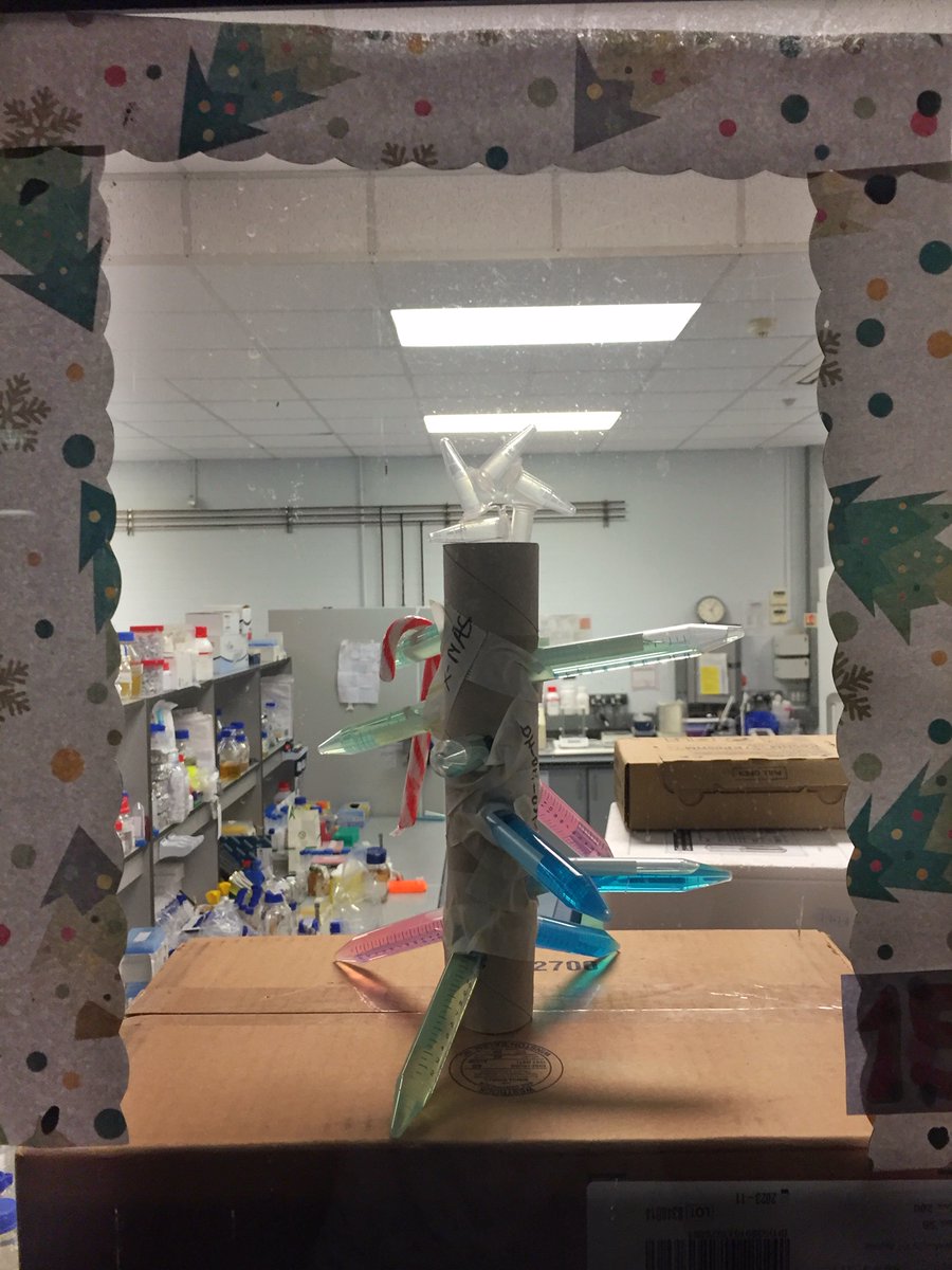 UoNSPT (@uonspt) on Twitter photo 🎵Rocking around the ... SPT interpretation of a ... Christmas tree🎵
On a weekend when the elves are not busy with science they like to demonstrate their artistic side.
#Labvent2019
#Realtimechem #Chemistree
<a href="/UoN_GCB/">Green Chemicals Beacon</a> <a href="/UniofNottingham/">Uni of Nottingham #WeAreUoN</a> @UoNEngineering @CDTSusChem <a href="/RoySocChem/">Royal Society of Chemistry</a> 🎵Rocking around the ... SPT interpretation of a ... Christmas tree🎵
On a weekend when the elves are not busy with science they like to demonstrate their artistic side.
#Labvent2019
#Realtimechem #Chemistree
<a href="/UoN_GCB/">Green Chemicals Beacon</a> <a href="/UniofNottingham/">Uni of Nottingham #WeAreUoN</a> @UoNEngineering @CDTSusChem <a href="/RoySocChem/">Royal Society of Chemistry</a>
