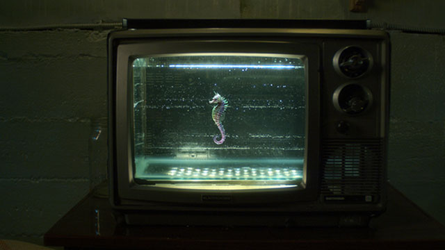 Screenshooter2's tweet photo. Focus sur les neufs courts internationaux sélectionnés pour la 9éme édition du @parisfantastic :
https://t.co/uwiEbwlTSs
 #PIFFF  #OscarSBell #WhatDoDragonsSeeInAGirlLikeMe #AvaInTheEnd #ALittleTaste #TheSeahorseTrainer #MyLittleGoat #Hopes #TheBurden #InSoundWeLiveForever https://t.co/Xz2Y1MsvtH