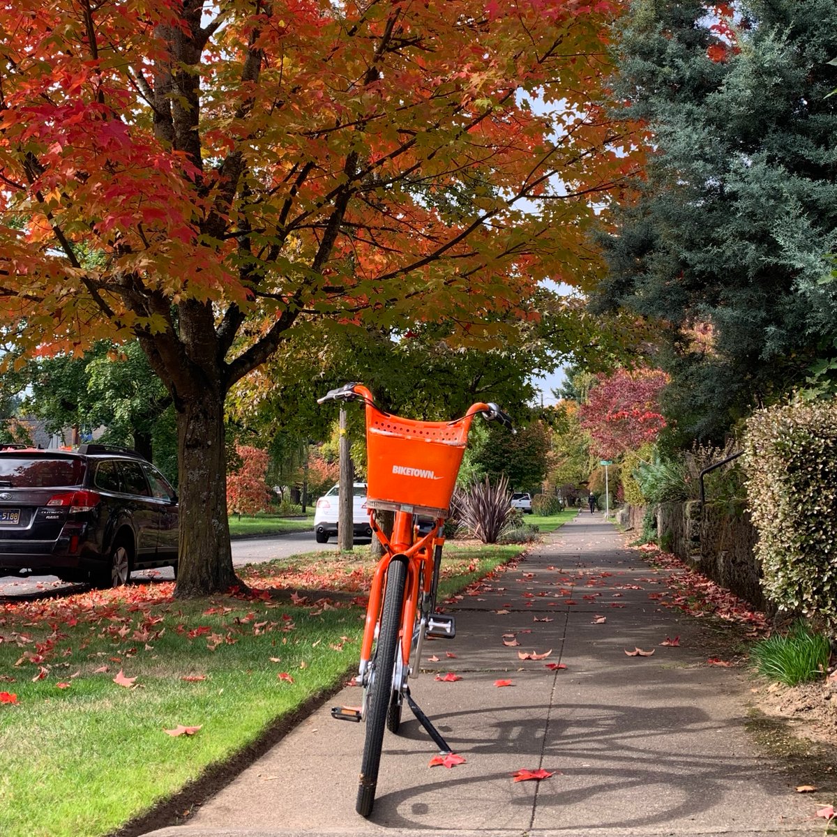 #FlashbackFriday to dry(er) days in Portland. What are your weekend plans? Where is today taking you? 🚲 🍂