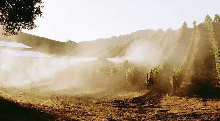 BDterroirs's tweet photo. Here at https://t.co/n40aTGzF9K, we aim to produce #wine in #california of the highest standards!

Free from chemical #additives and #pesticides 

#biodynamic #napa #compost #farming #organic #OrganicAndGenuine #standards #quality #winelover #consultant #napavalley #winecountry https://t.co/vPCwqBgDvd