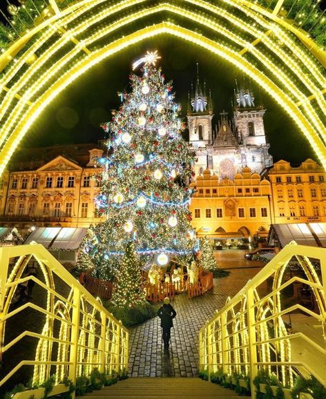 EpicureansLife's tweet photo. Before Santa Claus comes!
A beautiful photo of a Christmas tree in Prague, Czech Republic. In which city would you like to spend Christmas?
-
📷 by @melissa
-
#prague #czechrepublic #christmas #christmastree #tree #santaclaus #travel #millionaire #billionaire #richpeople #ri https://t.co/N34gP4175q