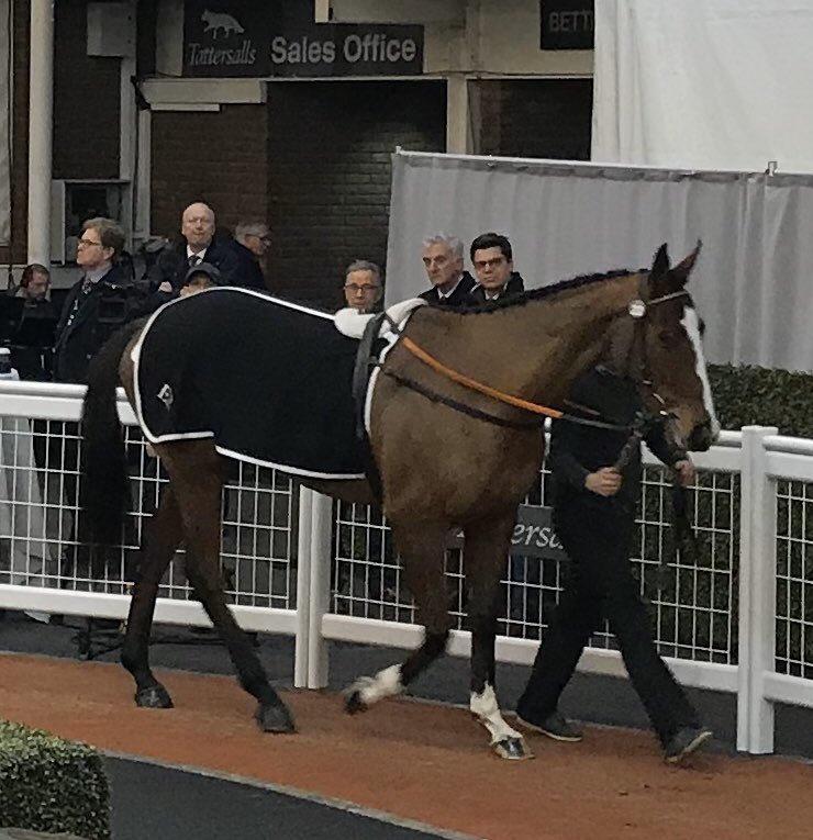 #rathmoregrad Sir Gerhard makes £400k having won his <a href="/irishp2p/">p2p.ie</a> impressively! Well done <a href="/sheff5/">Annshoon Stud</a> &amp; the Holdens. Best of luck to purchaser <a href="/gelliott_racing/">Gordon Elliott</a>