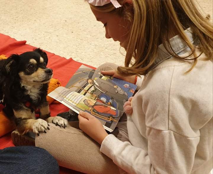 Humanymal's tweet image. ¡Los viernes son de "Patas y Libros! Esta tarde lo hemos pasado en grande leyendo nuestros #libros libros favoritos a Choco y Julieta en la Biblioteca Azorín de #Alicante ¿Cuándo volvemos? ❤️🐶 #animales