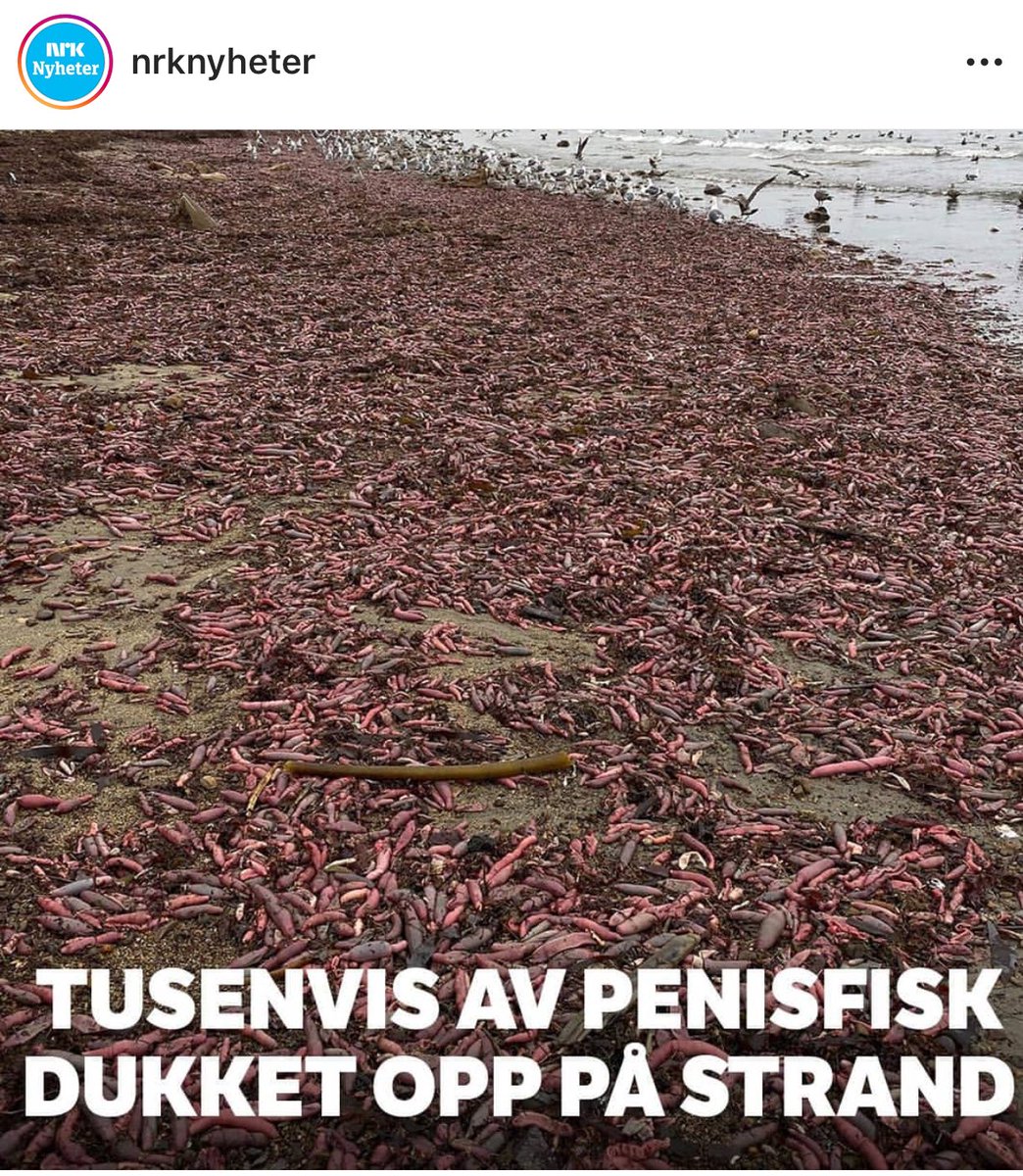 Endelig en forklaring på synkende fødselstall