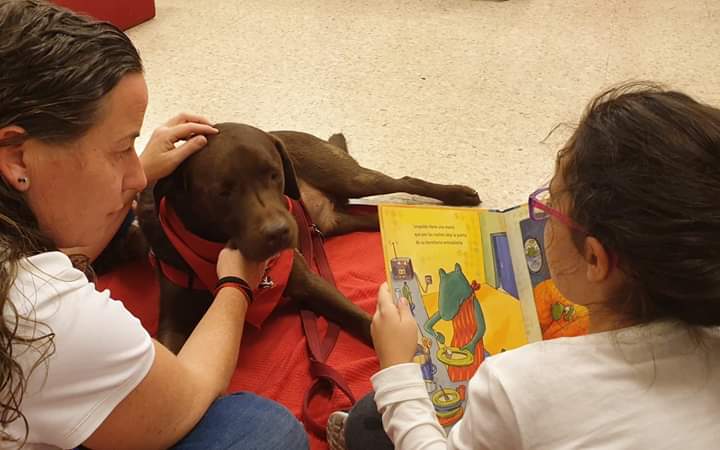 Humanymal's tweet image. ¡Los viernes son de "Patas y Libros! Esta tarde lo hemos pasado en grande leyendo nuestros libros favoritos a Choco y Julieta en la Biblioteca Azorín de Alicante ¿Cuándo volvemos? ❤️🐶 #animales #perros #bibliotecas