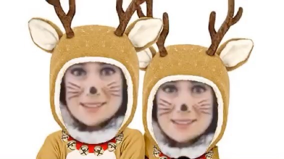 loppythecat's tweet photo. Happy holidays fam 😹😻 thanks for this @jeradsloan https://t.co/B4ytouBcWZ https://t.co/3zzVwMBQNk