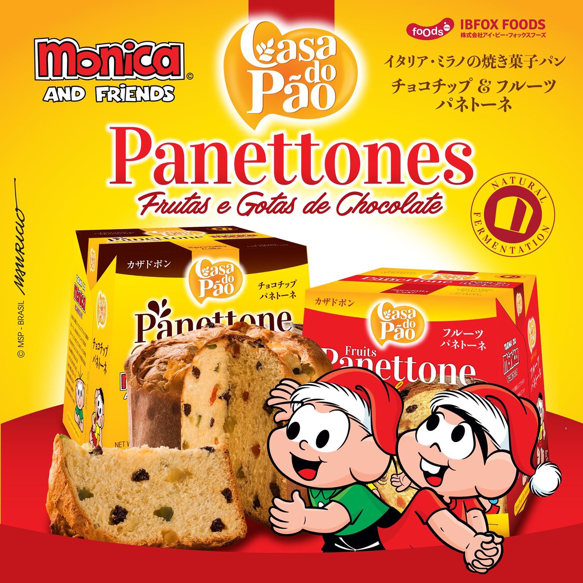 ibcompany_world's tweet photo. Panettone da Turma da Mônica Casa do Pão
パネトーネ モニカフレンズ カザドポン
• チョコチップ and フルーツ
Fruits and Chocolate
#パネトーネ #ibfoxfoods #turmadamonicanojapao #ibfox #casadopao #カザドポン
#ibfoxfoods #アイビーフォックスフーズ #panetone #panettoneturmadamônica https://t.co/lCMMfQCPvU