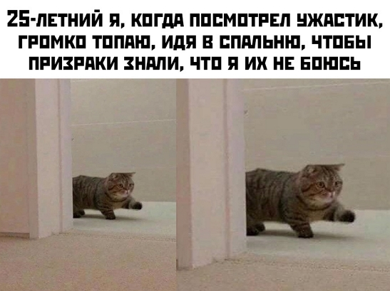 so_mad_so_funny's tweet photo. https://t.co/hlm154jeHh
