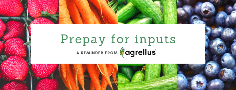 AgrellusFarm's tweet photo. #Agrellus #ifarmwithagrellus #prepay #sameinputsbetterprices #farmlife #eatyourfruitsandveggies https://t.co/dhzSzQIOHs